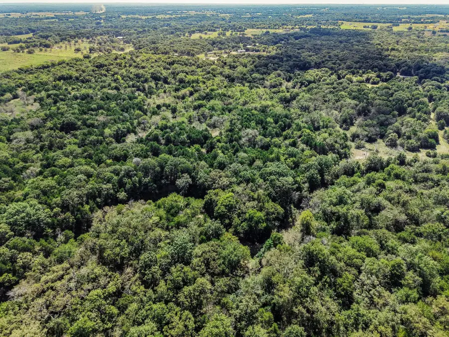 Tract 6 Gilbreath Road, Sadler, TX 76264 - Image #3