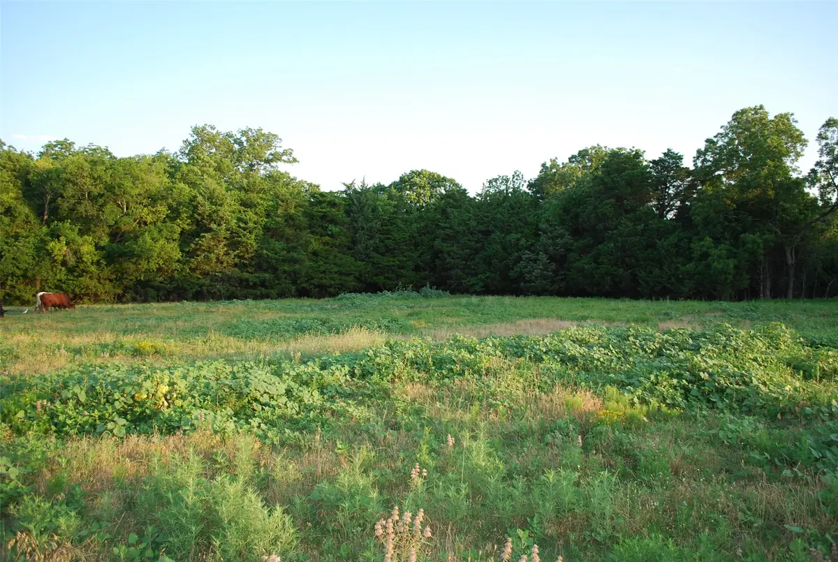 337 Smirl Lane, Heath, TX 75032 - Image #1