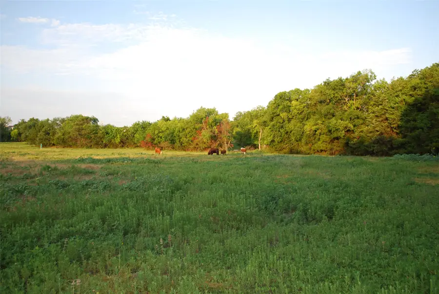 337 Smirl Lane, Heath, TX 75032 - Image #3