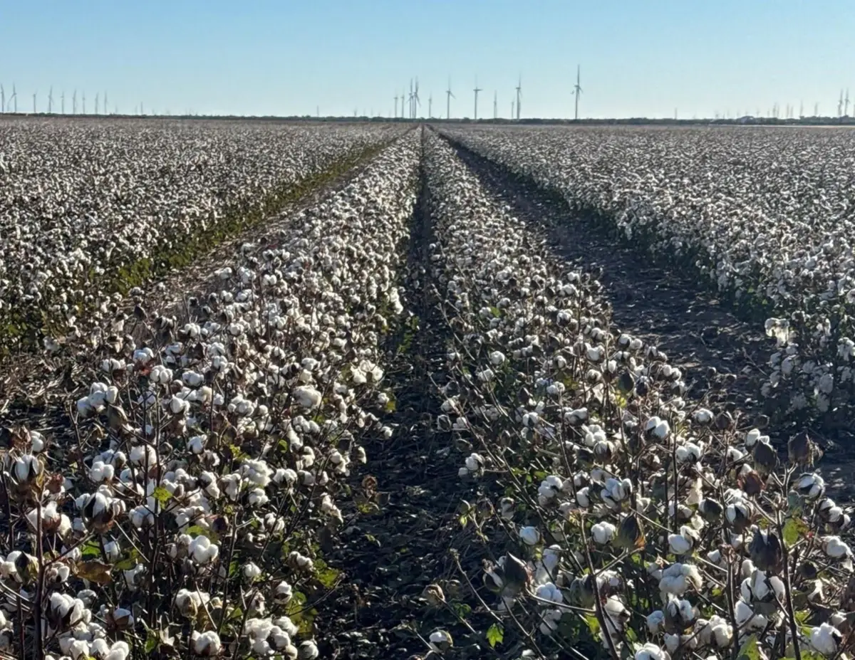 00 Cr 164, Weinert, TX 76388 - Image #1