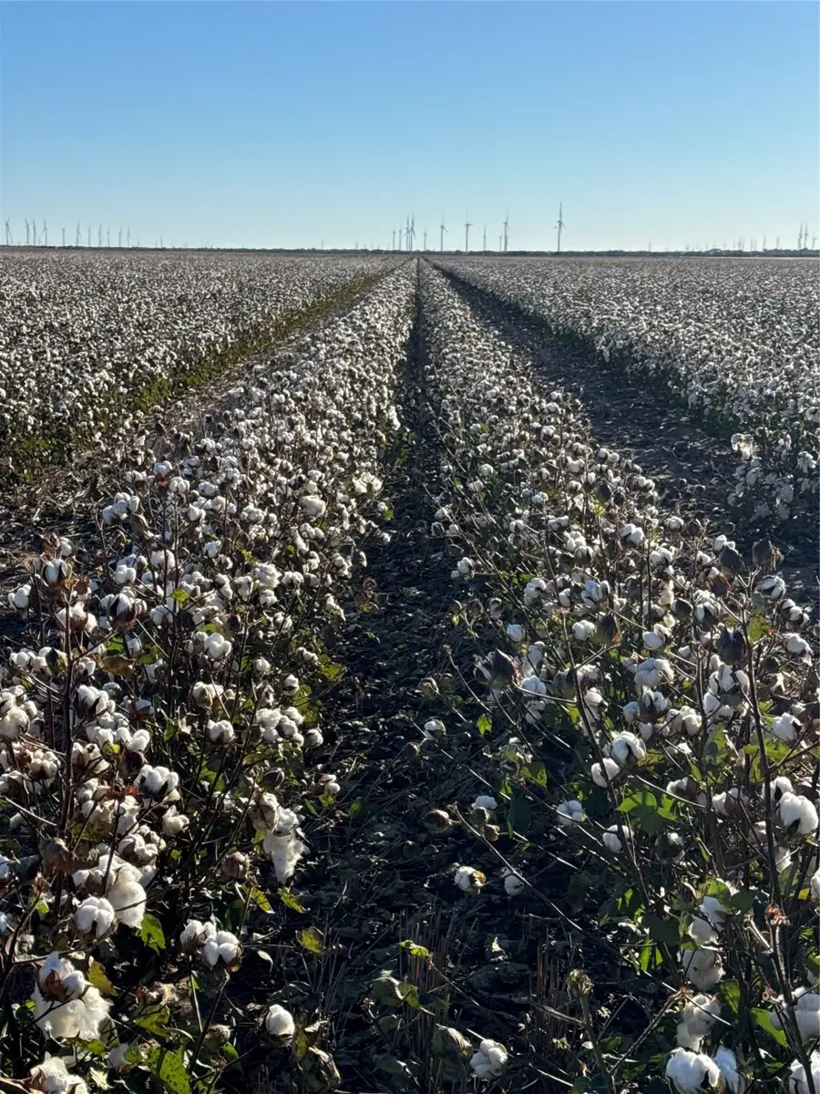 00 Cr 164, Weinert, TX 76388 - Image #2