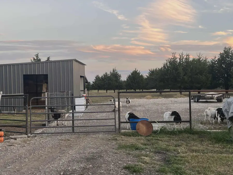 1654 Hash Road, Lancaster, TX 75146 - Image #3