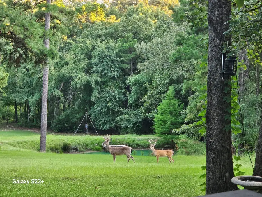 4491 S Fm 2869, Hawkins, TX 75765 - Image #3