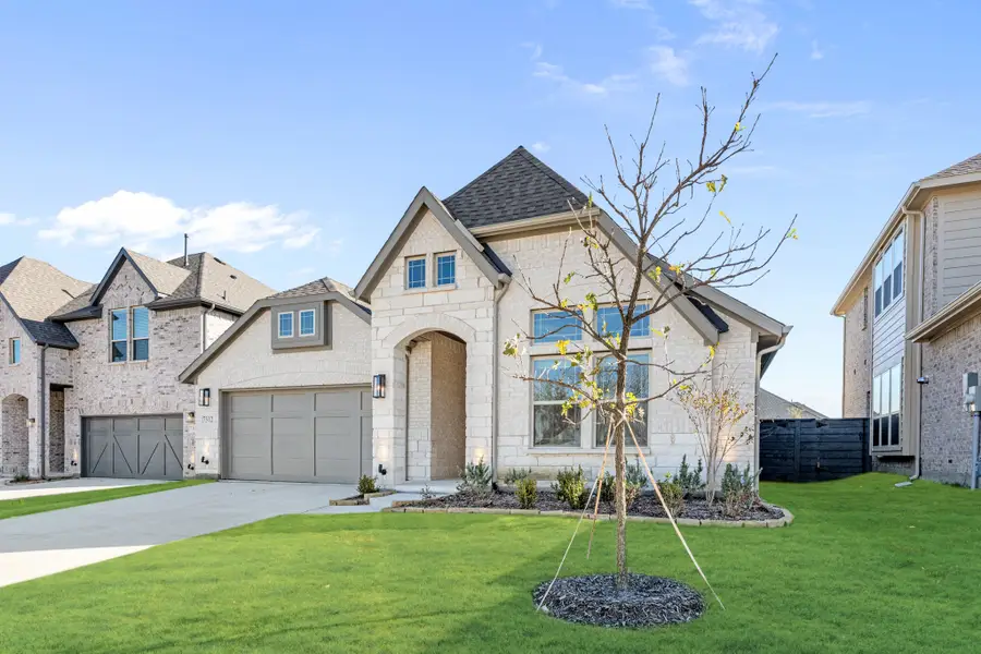 7312 Iris Road, Aubrey, TX 76227 - Image #3