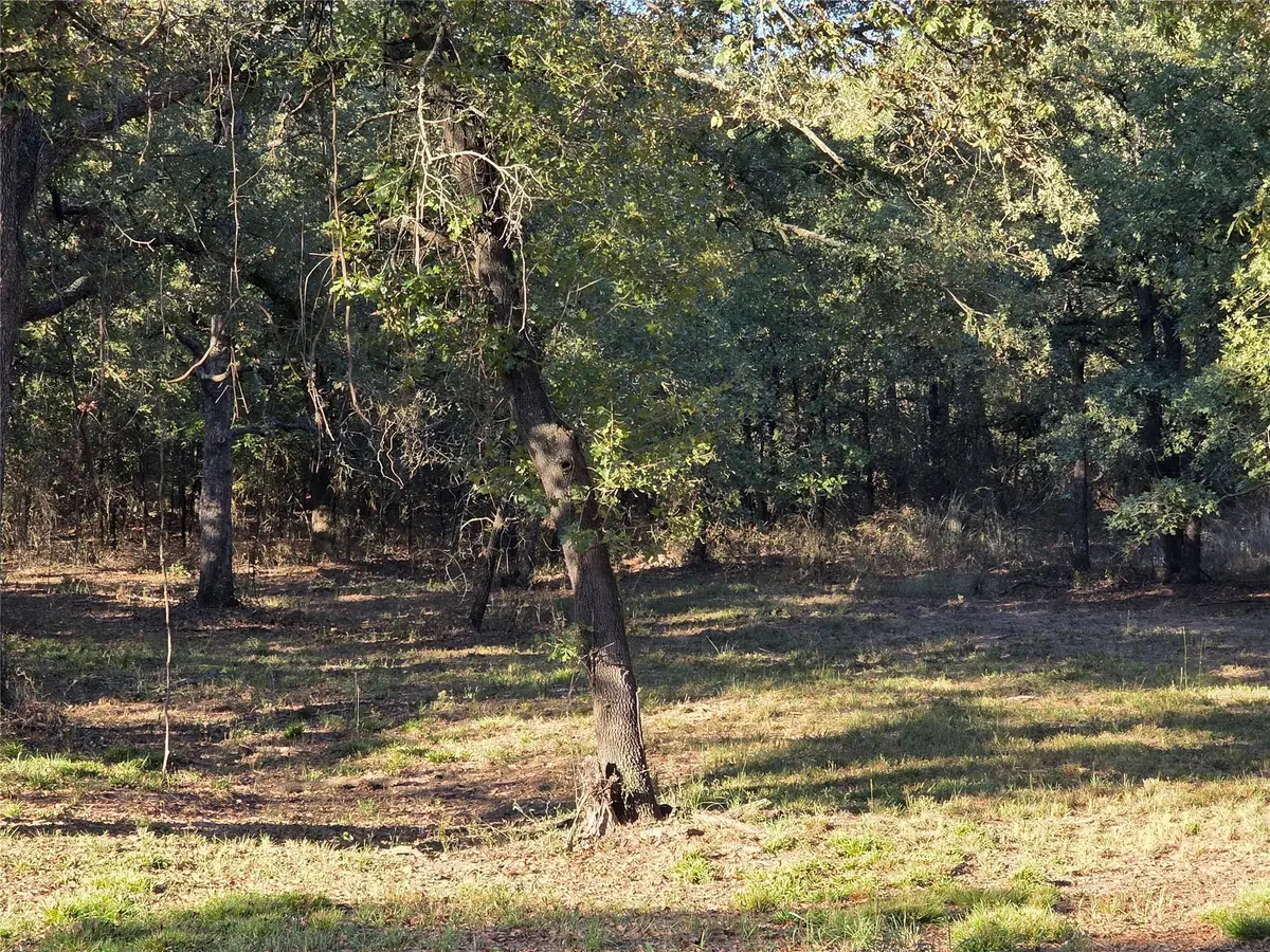 125 Comanche Trail, Nocona, TX 76255 - Image #1