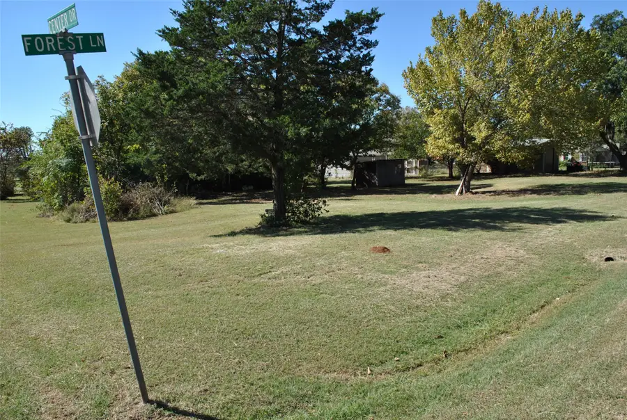 Lot 255-256 Forest Lane, Gordonville, TX 76245 - Image #2