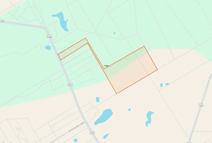 tbd Farm Road 219 W, Carlton, TX 76436 - Image #2