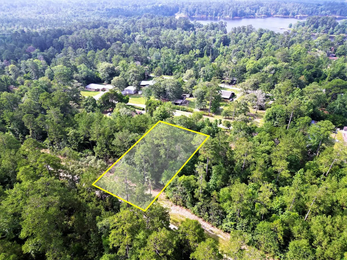 Lot 8 Sir Ewaine Drive, Woodville, TX 75979 - Image #1