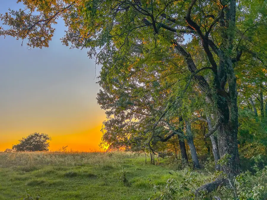 0 County Road 2317, Canton, TX 75103 - Image #2