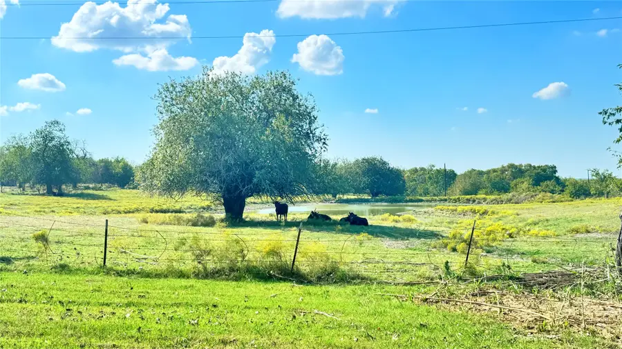 1258 County Road 352 Road, Gainesville, TX 76240 - Image #2