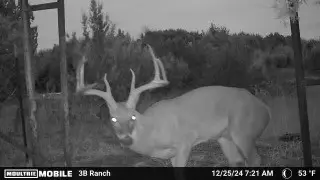 815 Cr 2080, Lometa, TX 76853 - Image #1