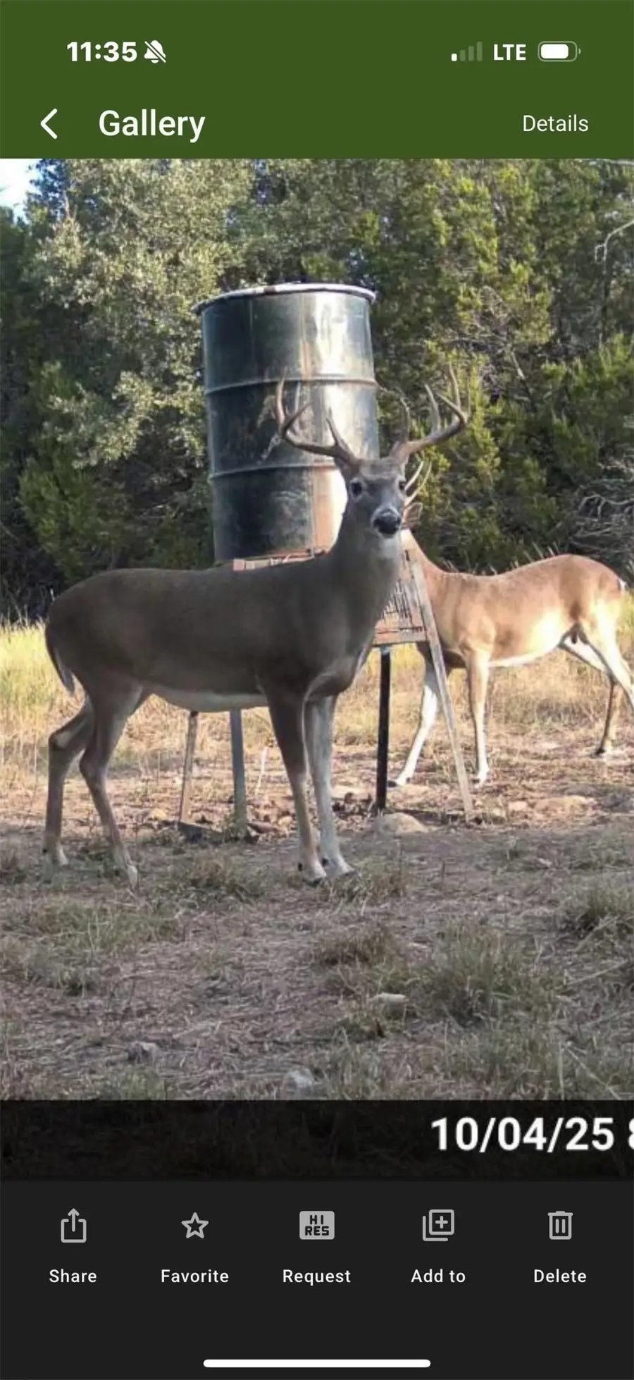 5106 Fm 51, Glen Rose, TX 76043 - #2