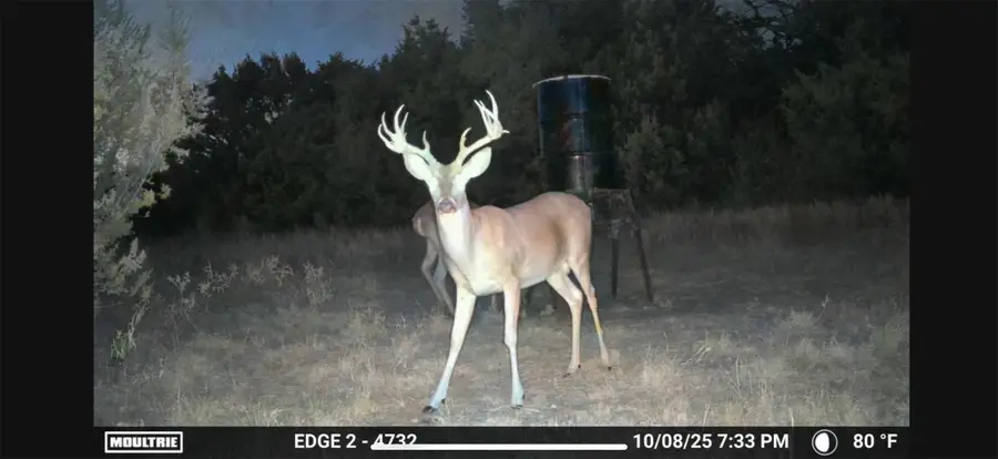 5106 Fm 51, Glen Rose, TX 76043 - #3