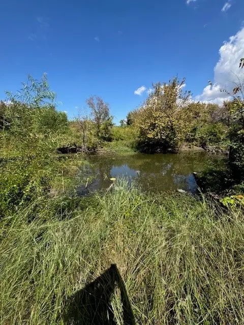 7118 Rucker Street, Azle, TX 76020 - Image #3