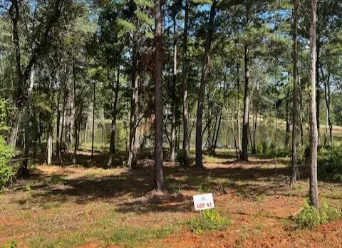 17778 Portside Circle, Tyler, TX 75708 - Image #2