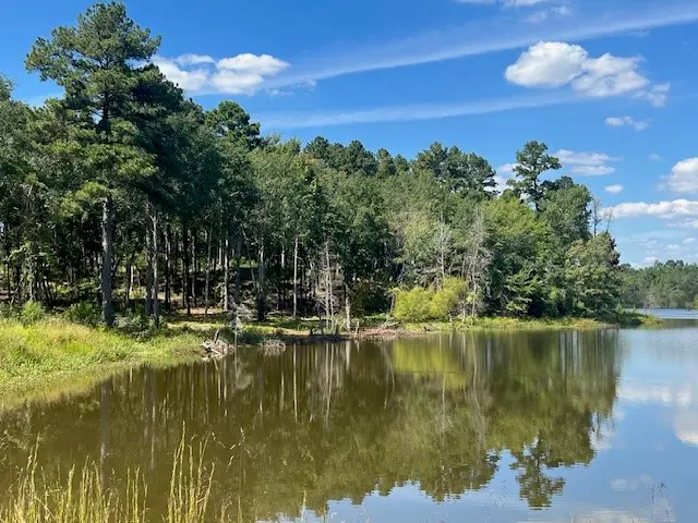 17778 Portside Circle, Tyler, TX 75708 - Image #3