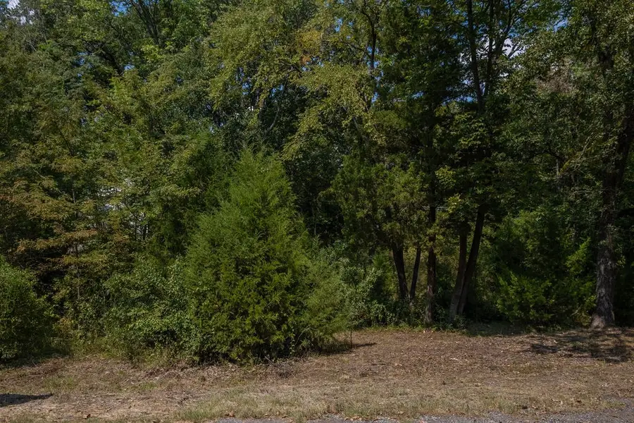 6134 Tejas Drive, Mabank, TX 75156 - Image #2