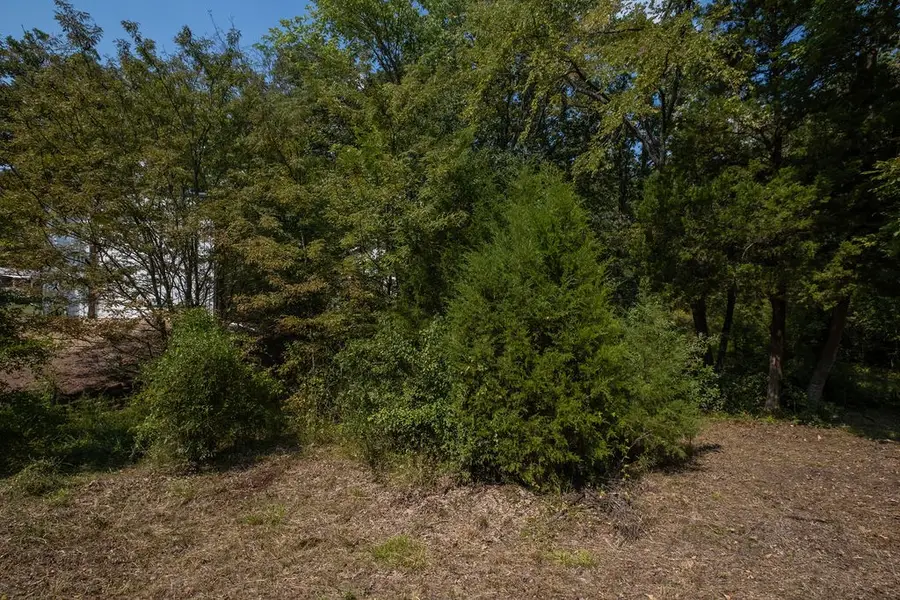 6134 Tejas Drive, Mabank, TX 75156 - Image #3