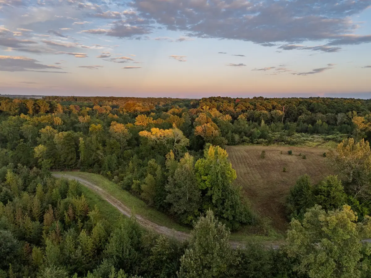 TBD Fm 1998, Karnack, TX 75661 - Image #1