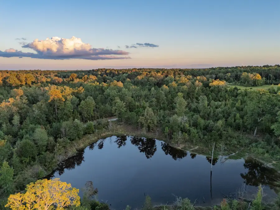 TBD Fm 1998, Karnack, TX 75661 - Image #2