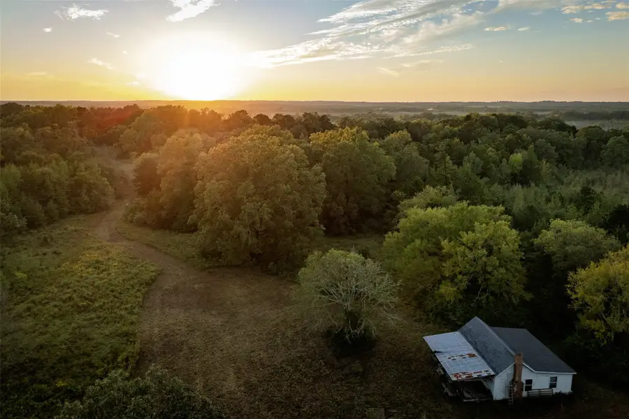 TBD Fm 1998, Karnack, TX 75661 - Image #3