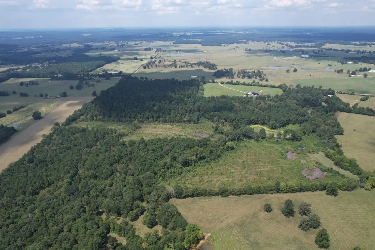 TBD W Fm 1662, Laneville, TX 75667 - Image #1