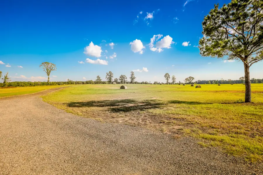 3280 N Fm 450, Hallsville, TX 75650 - Image #3