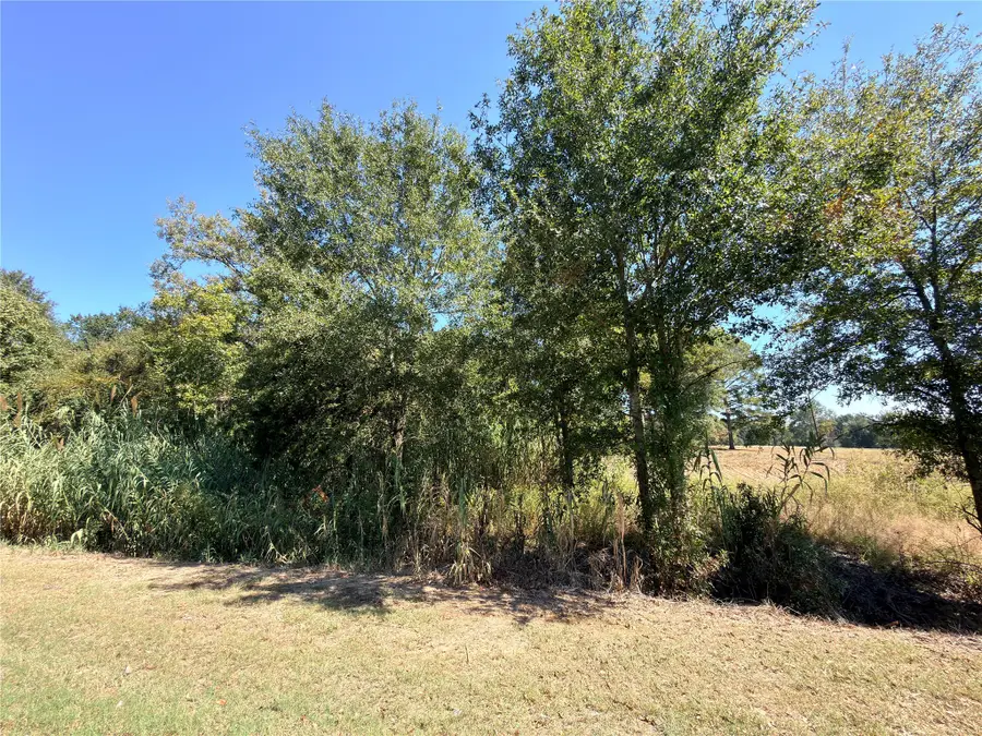 7.5 Acres S Fairway, Fairfield, TX 75840 - Image #3