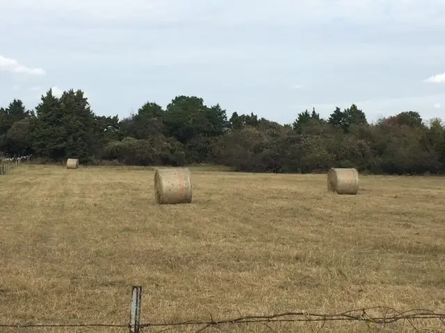 132 N Garza Road, Shady Shores, TX 76208 - Image #3