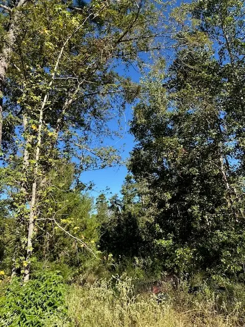 536 An County Road 1233, Palestine, TX 75801 - Image #1