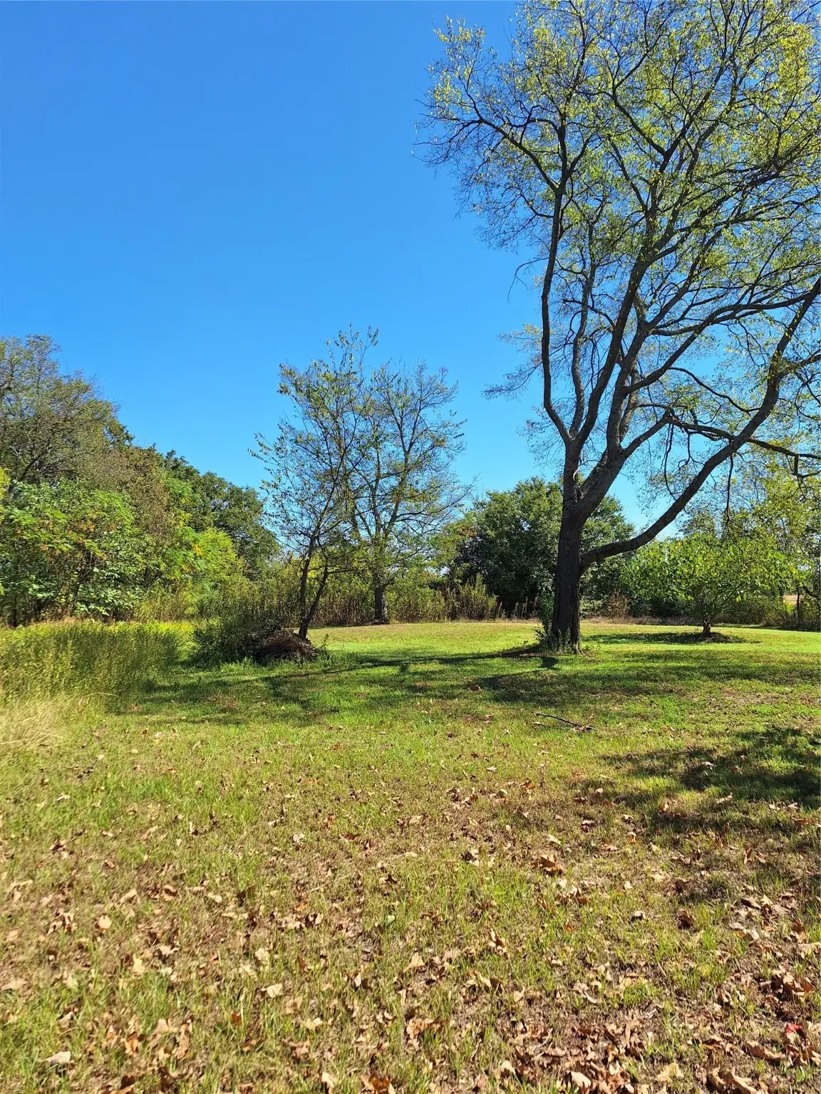 Lot 23 Simms Street, Sulphur Springs, TX 75482 - Image #1