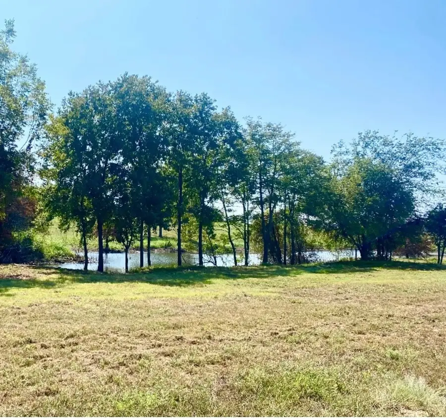 305 Sailview Court, Honey Grove, TX 75446 - Image #3