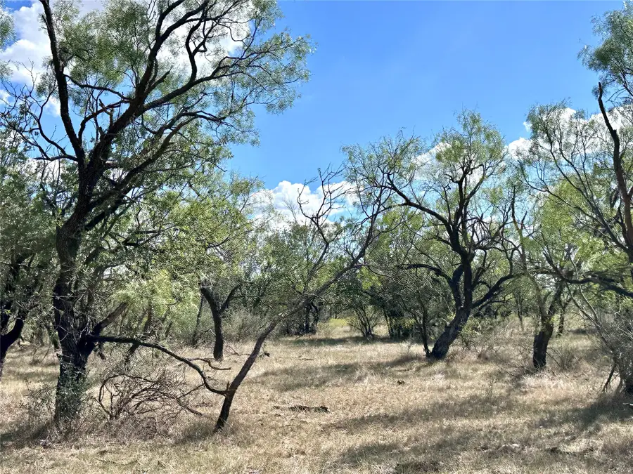 TBD Tba County Road 100, Abilene, TX 79601 - Image #3