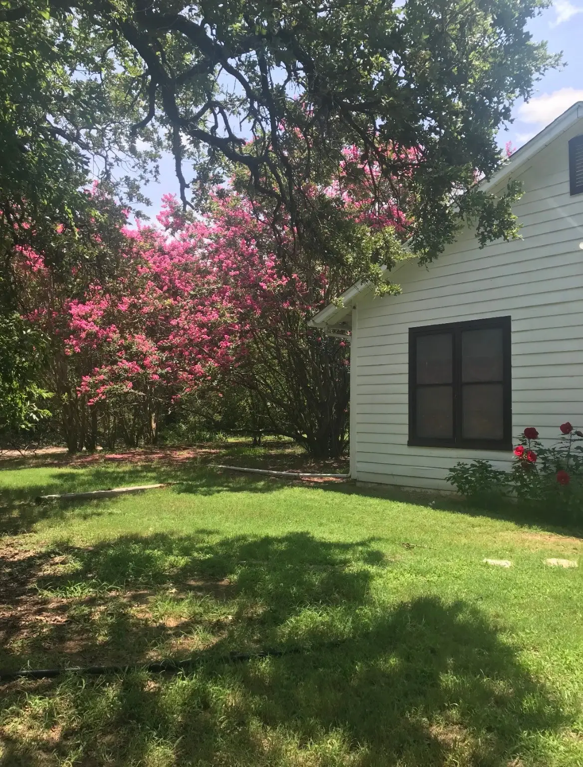 5405 County Road 704d, Cleburne, TX 76031 - Image #1