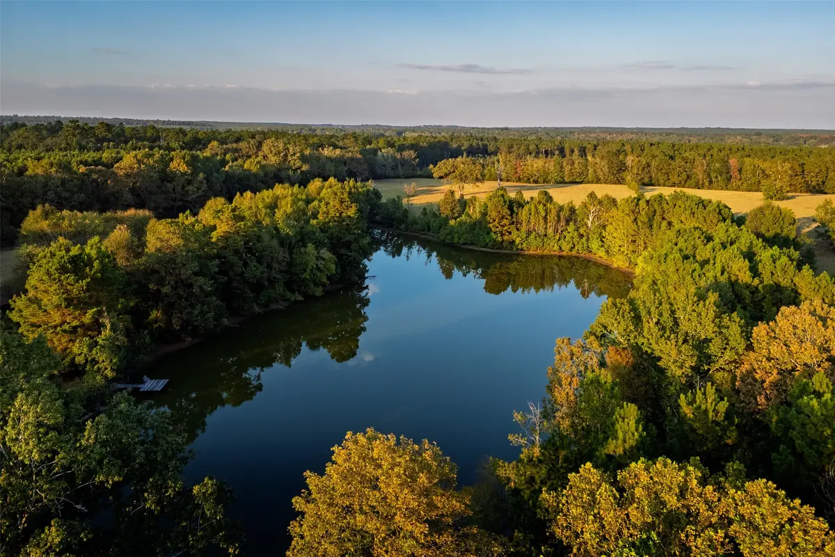 973 County Road 2572, Center, TX 75935 - Image #1