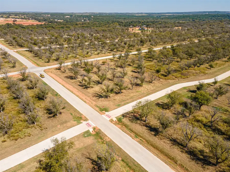 1401 Cirrus Loop, Granbury, TX 76049 - Image #2