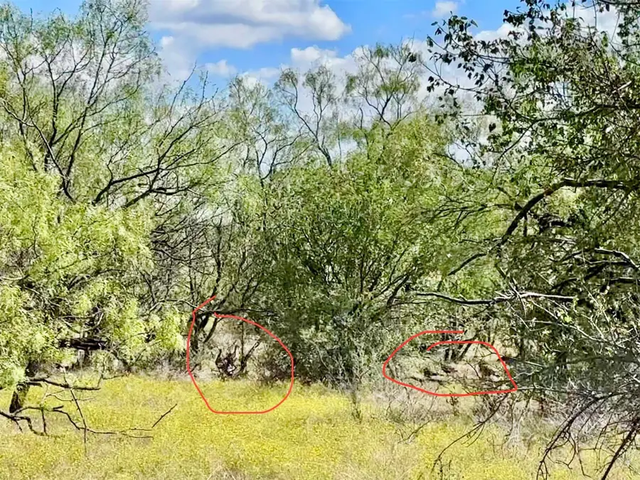 TBD Tba Cr 100, Abilene, TX 79601 - Image #3