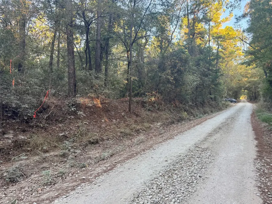 2694 County Road 4020, Crockett, TX 75835 - Image #3