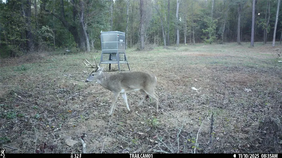 TBD C R 354, Winona, TX 75792 - Image #2