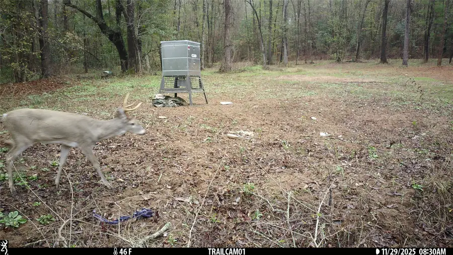 TBD C R 354, Winona, TX 75792 - Image #3