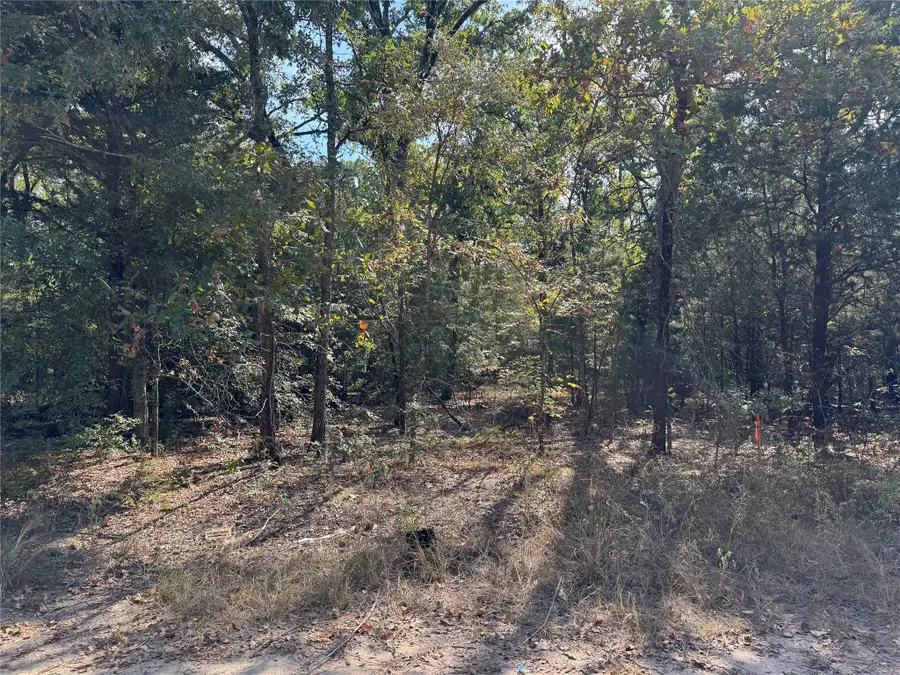 145 Kiowa Drive, Mabank, TX 75156 - Image #3