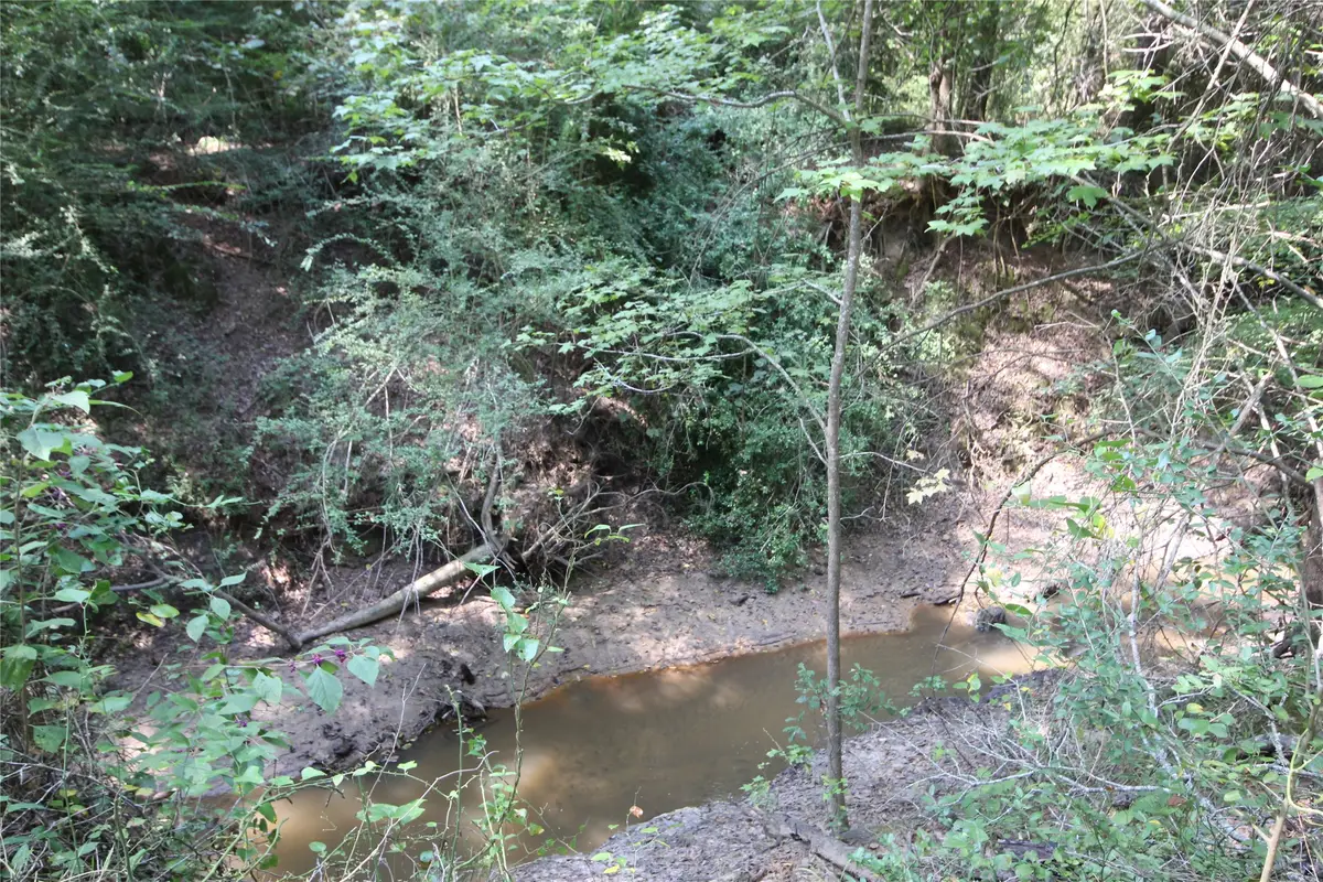 0 Cr 347, Palestine, TX 75802 - Image #1