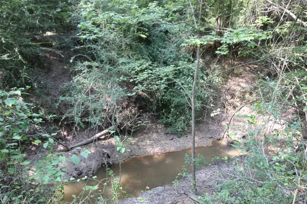 0 Cr 347, Palestine, TX 75802