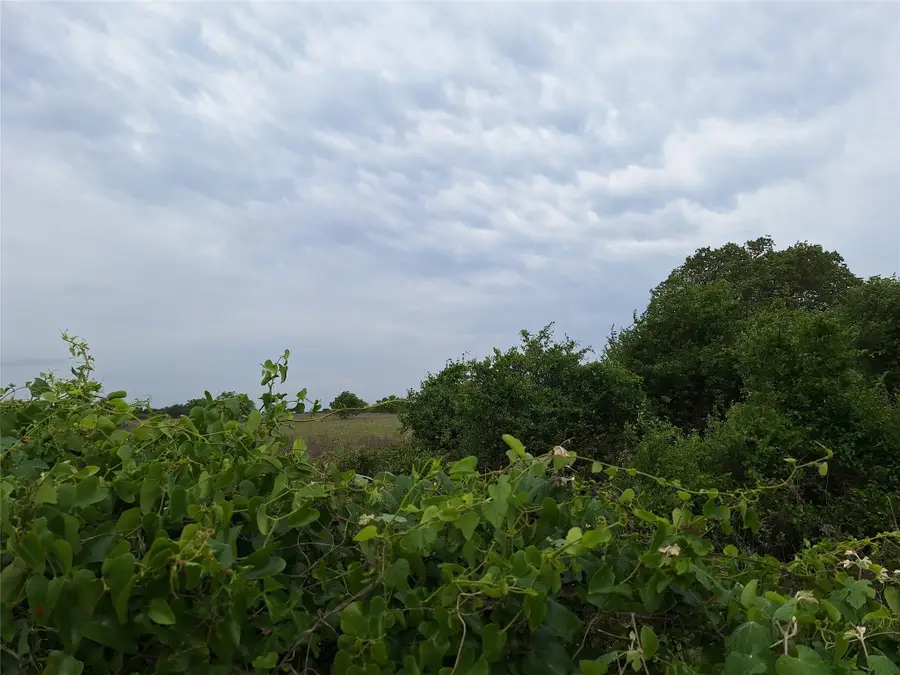 2839 Fm 45, Richland Springs, TX 76871 - Image #3