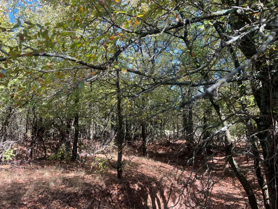 TBD Uselton Road, Loving, TX 76460 - Image #3