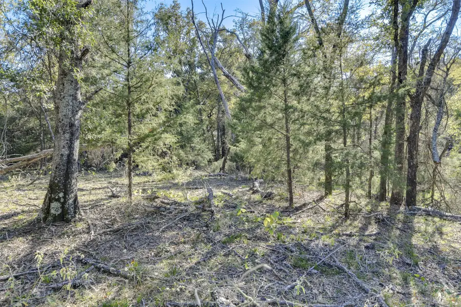 0 Fm 3396, Kemp, TX 75143 - Image #3