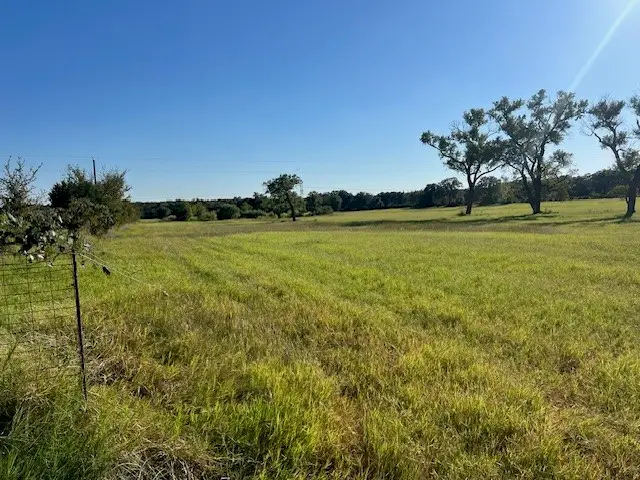 3733 Fm-52, Graford, TX 76449 - Image #2