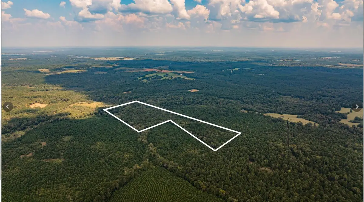 TBD County Road 1582, Avinger, TX 75630 - Image #1