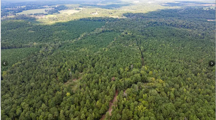 TBD County Road 1582, Avinger, TX 75630 - Image #2