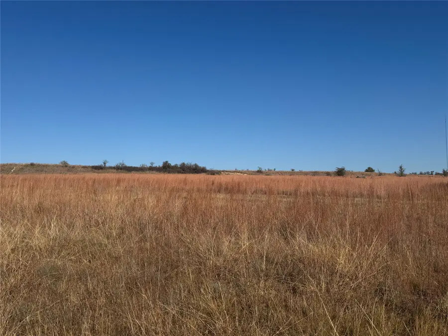 2139 Two Bush Road, Perrin, TX 76487 - Image #2